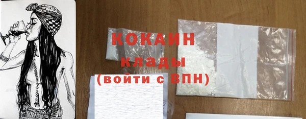 индика Гусиноозёрск