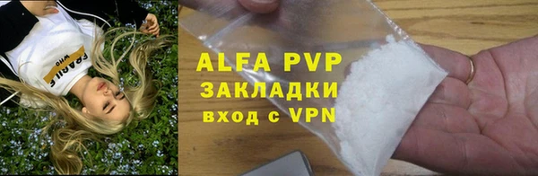 спиды Гусев