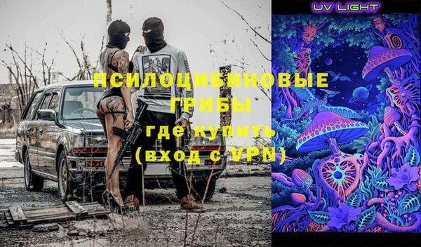 спиды Гусев