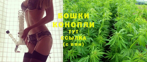 индика Гусиноозёрск