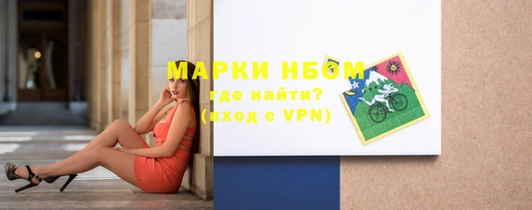 спиды Гусев