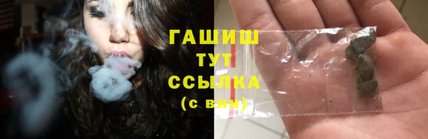мдпв Гусь-Хрустальный