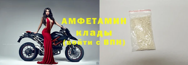 мдпв Гусь-Хрустальный