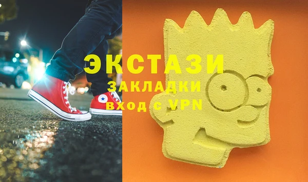 индика Гусиноозёрск