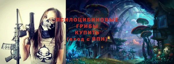 мдпв Гусь-Хрустальный