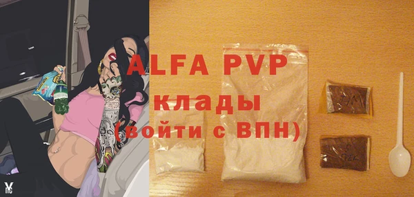 мдпв Гусь-Хрустальный