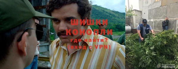 спиды Гусев