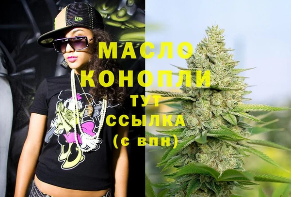индика Гусиноозёрск