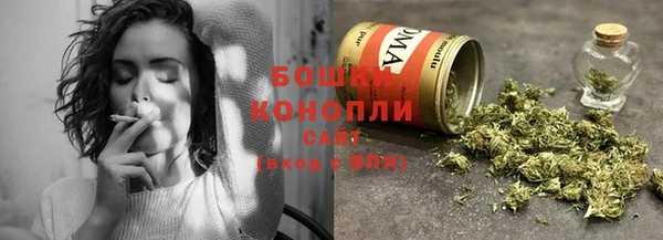 спиды Гусев