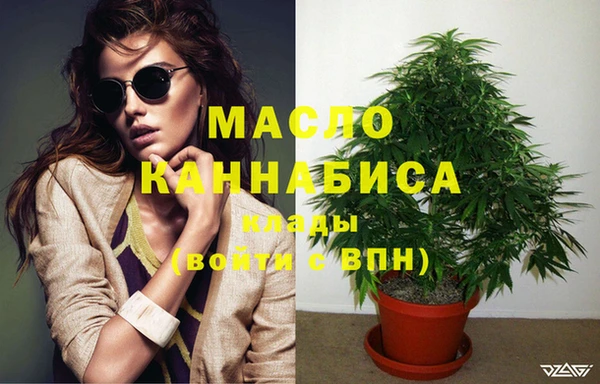 индика Гусиноозёрск