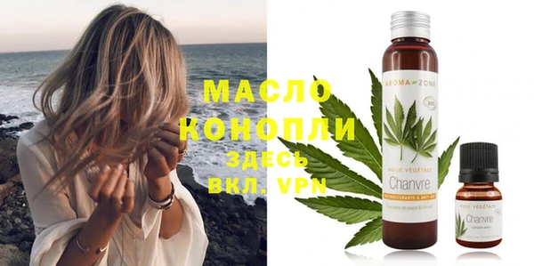 мдпв Гусь-Хрустальный