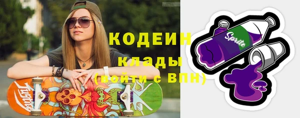 мдпв Гусь-Хрустальный