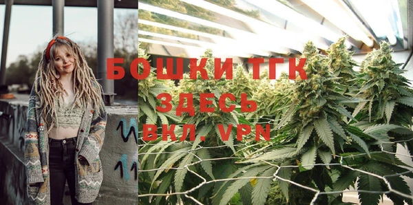 индика Гусиноозёрск