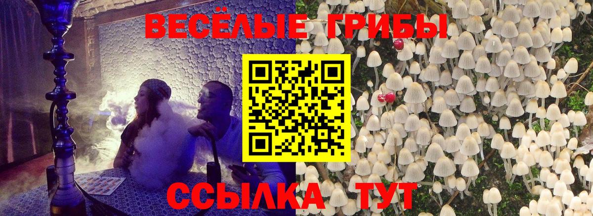 Галлюциногенные грибы Cubensis  Псилоцибиновые грибы Psilocybine cubensis  Железноводск  Вход с VPN 